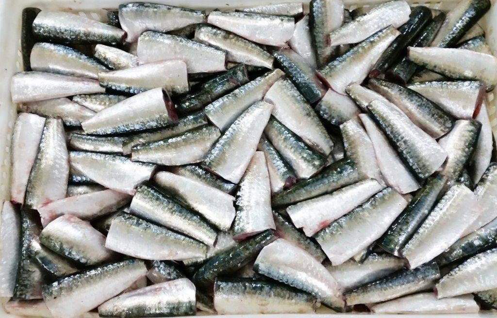 SARDINE